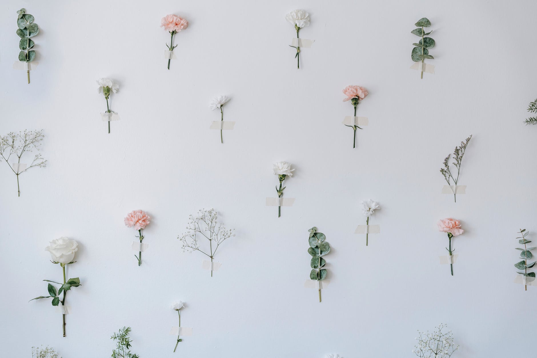 set of composed gentle flowers on white background