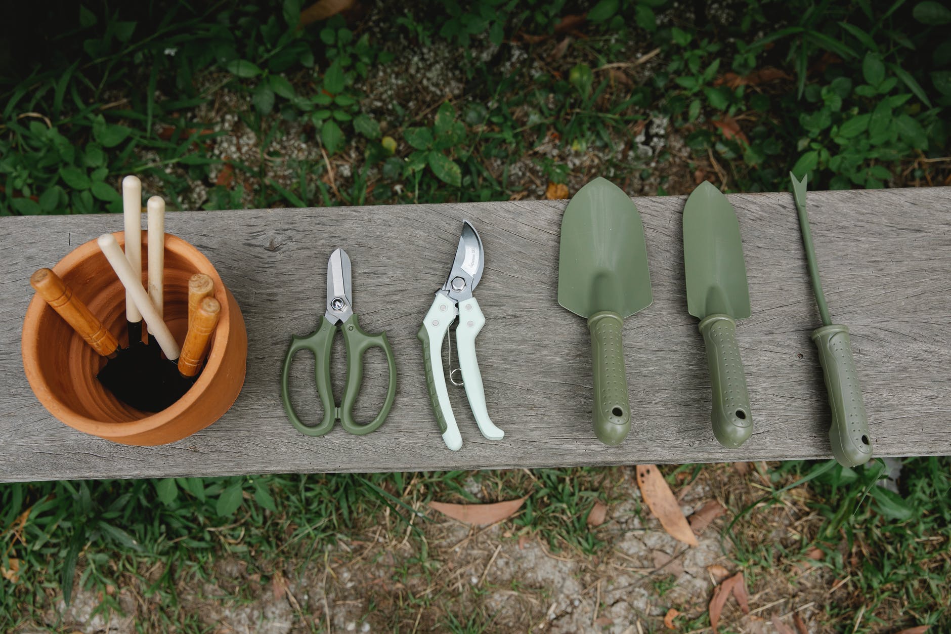 gardening tools on wooden bench in yard