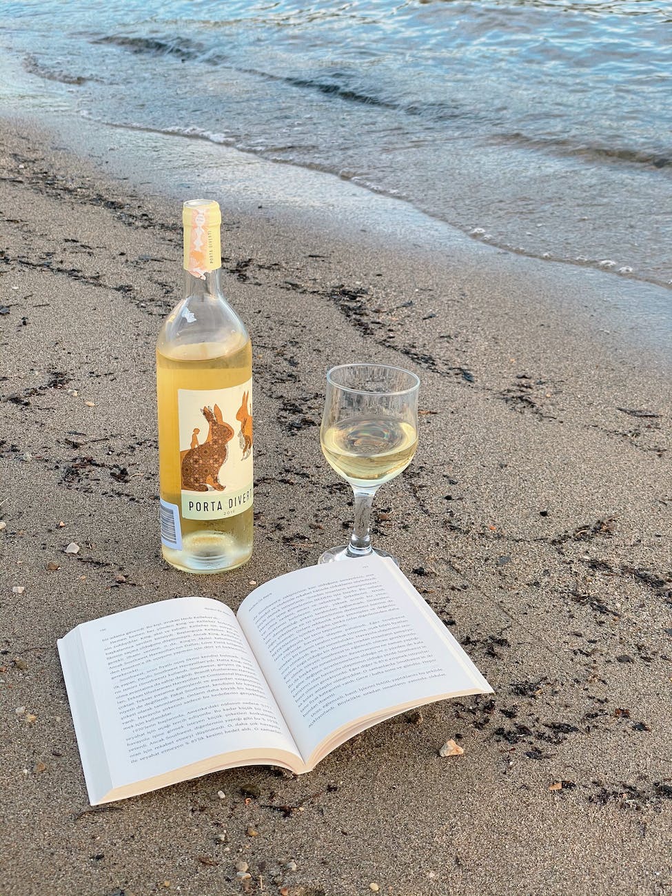 a book a bottle of wine and wineglass on a beach