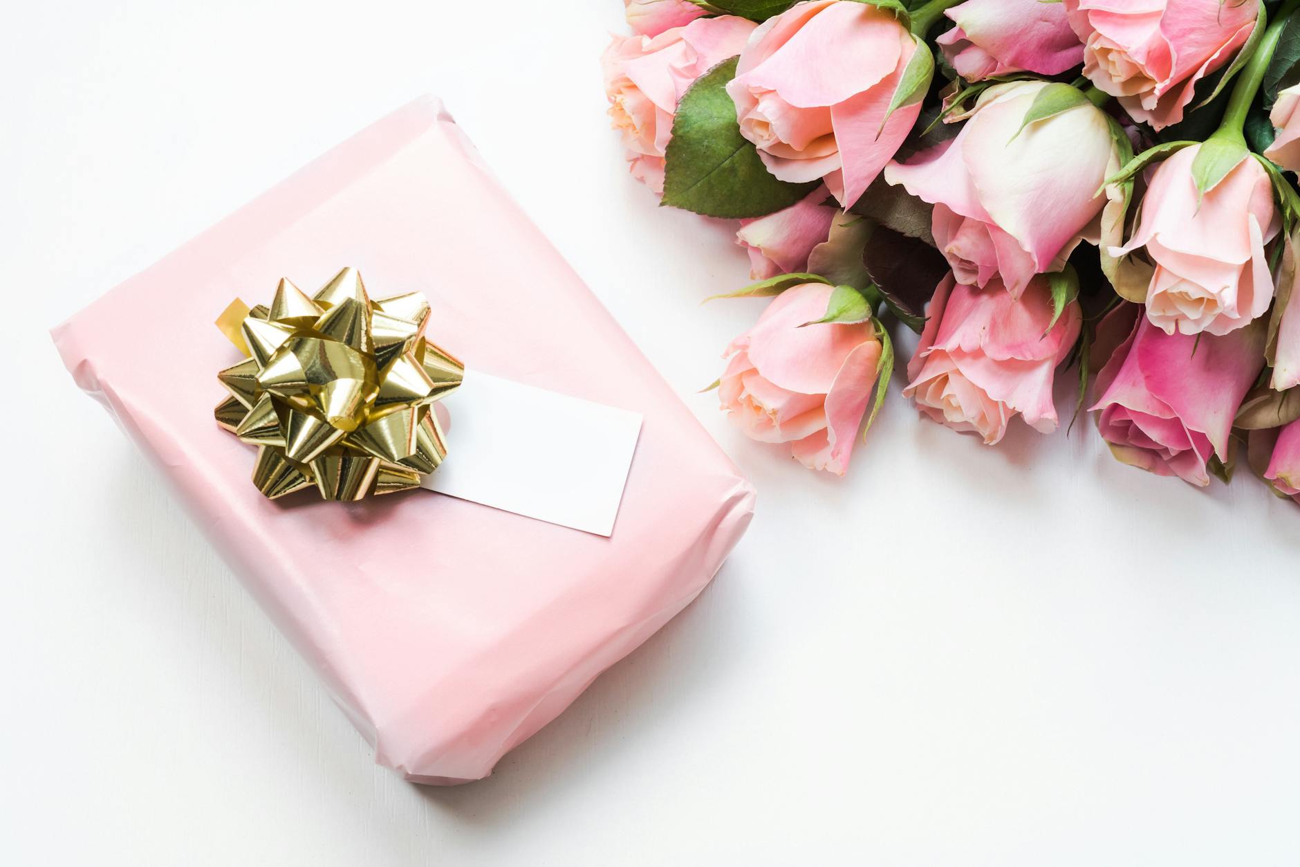 pink roses and gift box with golden bow